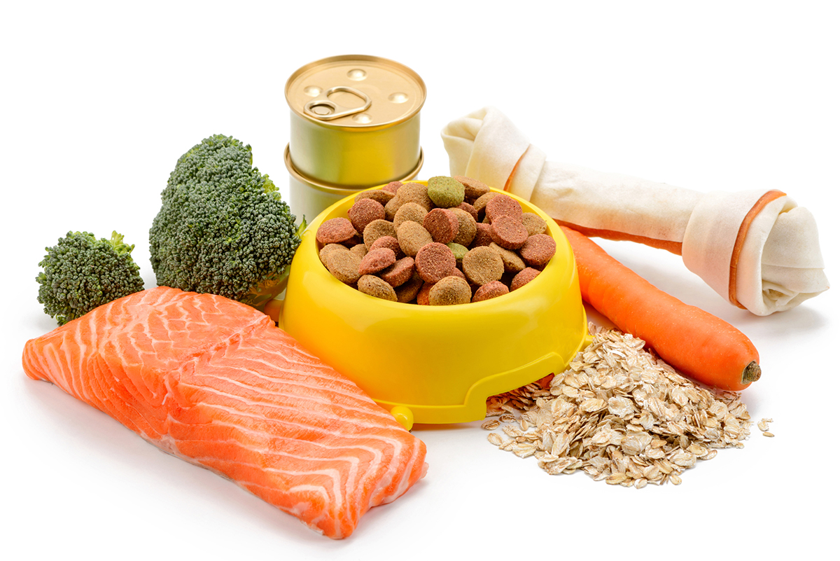 DCM study no link to grainfree pet food, no closure Pacific Pets